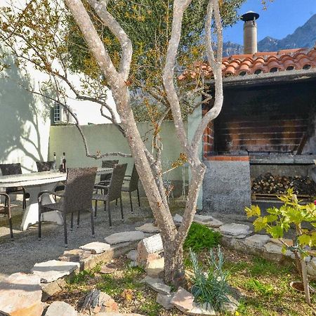Villa Jelena Makarská Exteriér fotografie
